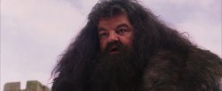 Hagrid I Shouldn't Have Said That Meme Template
