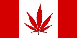 Canada Cannabis Flag Meme Template