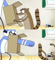Mordecai Punches a Box Meme Template