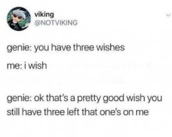 Genie 3 wishes Meme Template