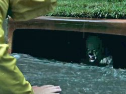 Pennywise in Sewer Meme Template