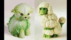Vegetable dog sculptures Meme Template