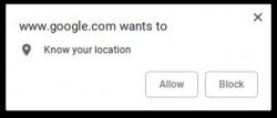 www.google.com wants to know your location Meme Template