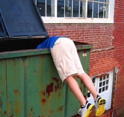 Dumpster diving Meme Template