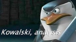 Kowalski, Analysis Meme Template