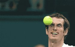 tennis goblin Meme Template