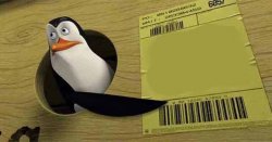 Penguin pointing at sign Meme Template