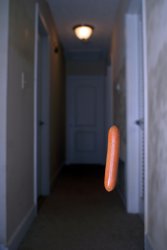 Hot Dog in a Hallway Meme Template