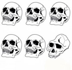 Idiot Skull Meme Meme Template