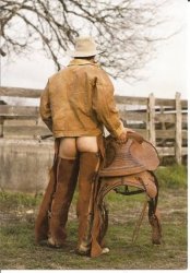 Redundant Assless Chaps Meme Template