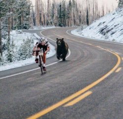 Bear Chasing A Cyclist Meme Template