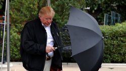 TRUMP UMBRELLA Meme Template