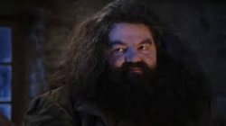 hagrid Meme Template