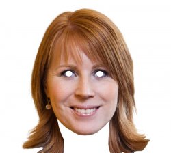 Annie Lööf Meme Template