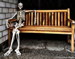 skeleton, bench, waiting Meme Template