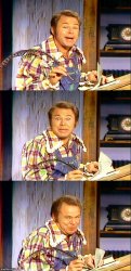 Roy Clark Puns Meme Template