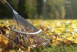 Rake Meme Template