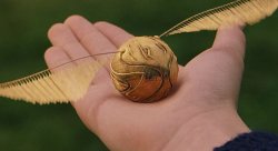 The Golden Snitch Meme Template