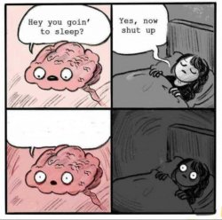 Brain Sleep Meme Meme Template