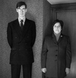 Jacob Rees Mogg and Nanny Meme Template