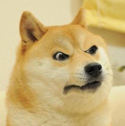 Confused Angery Doge Meme Template