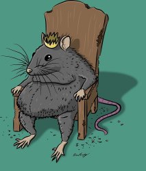Rat King Meme Template