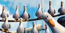 Mine Seagulls from Finding Nemo Meme Template