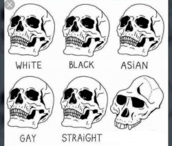 White Black Asian Gay Straight skull template Meme Template
