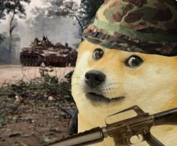 Hue City Doge Meme Template