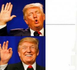 Donald Trump Yes/no Meme Template
