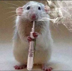 Vape hamster Meme Template