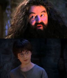 You are wizzard harry Meme Template