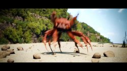 Crabrave Meme Template