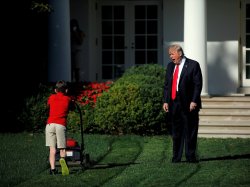 Trump Kid Lawnmower Meme Template