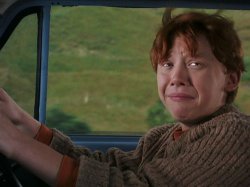 Ron Weasley flying car Meme Template