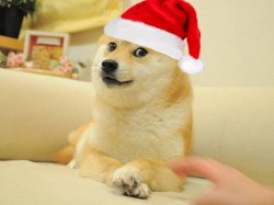 Doge christmas Meme Template