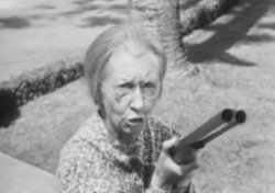 Granny's got a gun Meme Template