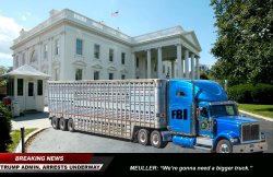 Trump Administration Arrests Underway Meme Template