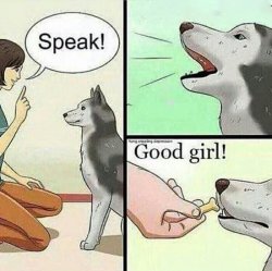 speak dog Meme Template