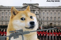 Doge January 5 2019 Queen of England Meme Template