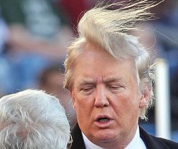 Trump comb over hair Meme Template