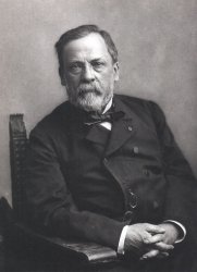 Louis Pasteur Meme Template
