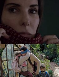 Bird Box Meme Template