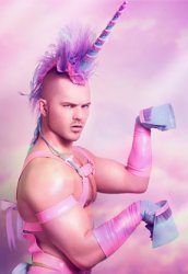 gay unicorn boy Meme Template