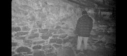 Blair Witch Project Meme Template
