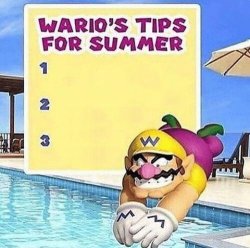 Warios tips for summer Meme Template