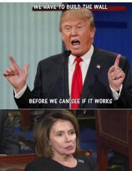 Trump Pelosi Meme Template