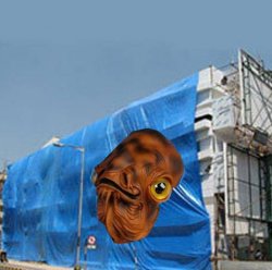It's a TARP !! Meme Template