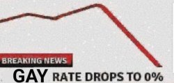 Gay rate drops to 0% Meme Template