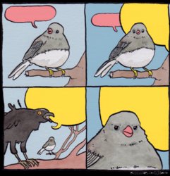 Bird and crow Meme Template